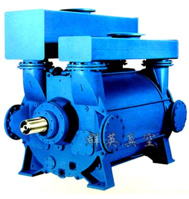 2BE系列水環(huán)式真空泵-揚州達瑞
